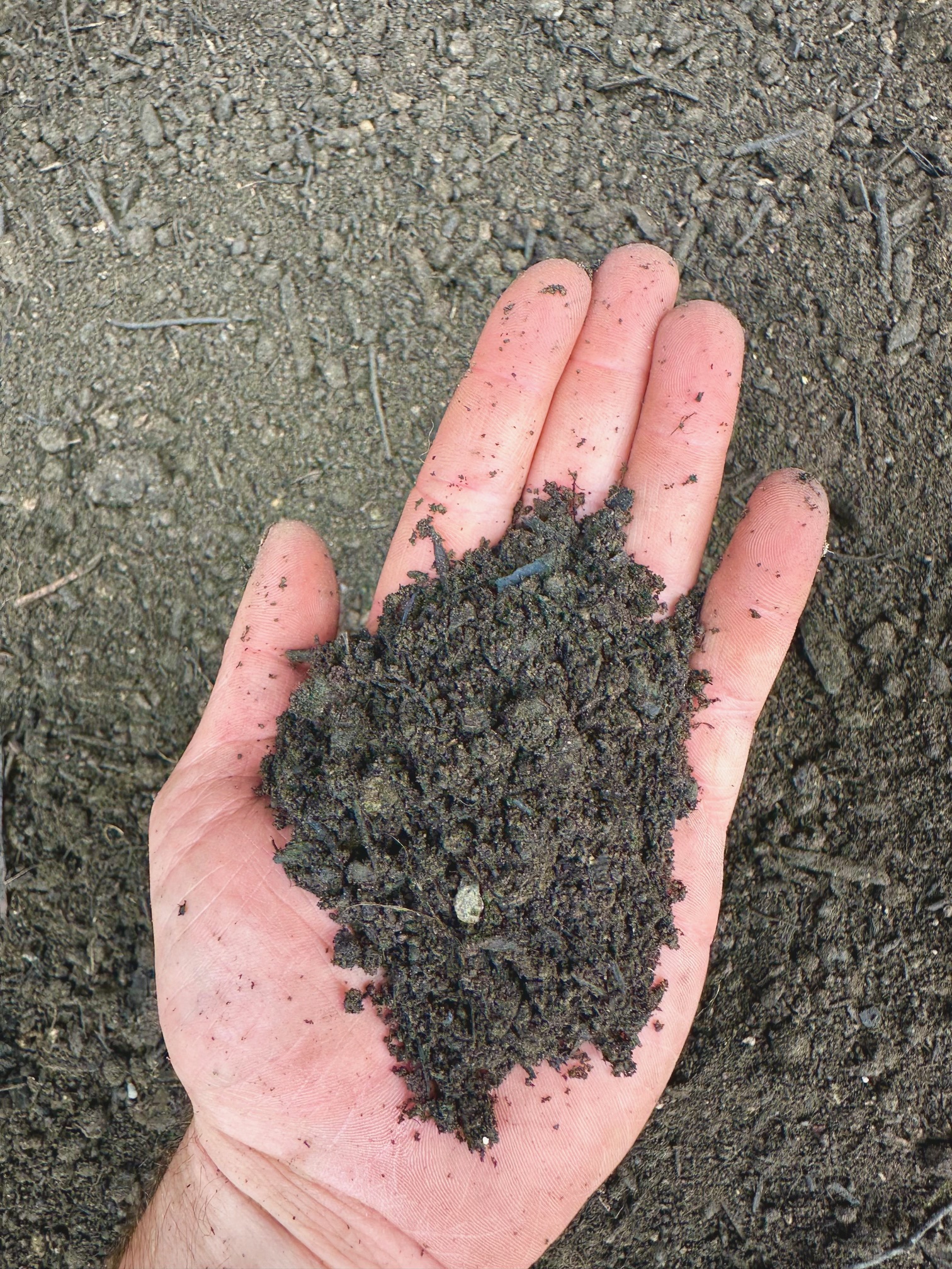https://shop2.three-z.com/storage/photos/1/Products/Soil/Mixsoil/MIXSOIL 2.jpg